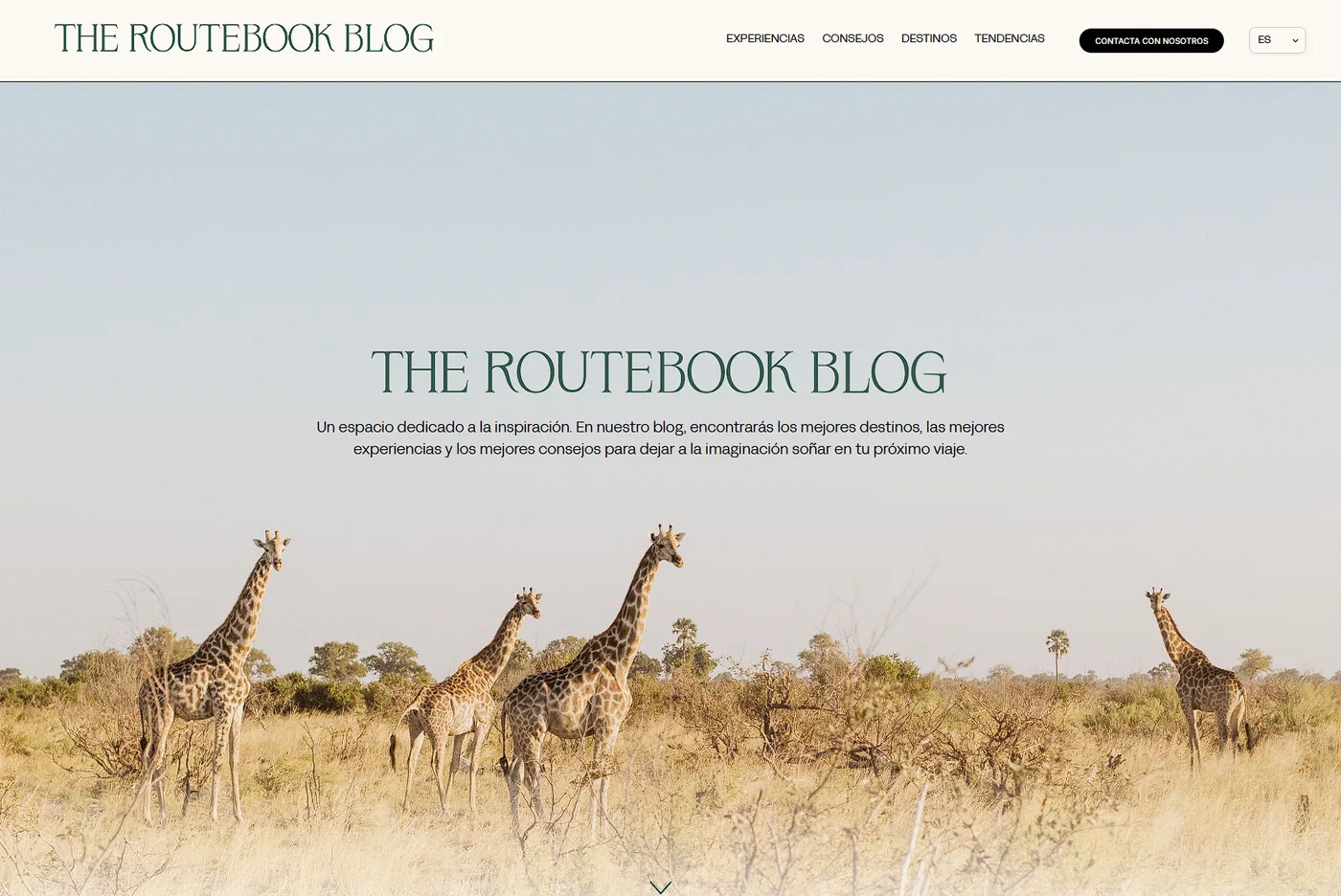 De Squarespace a WordPress